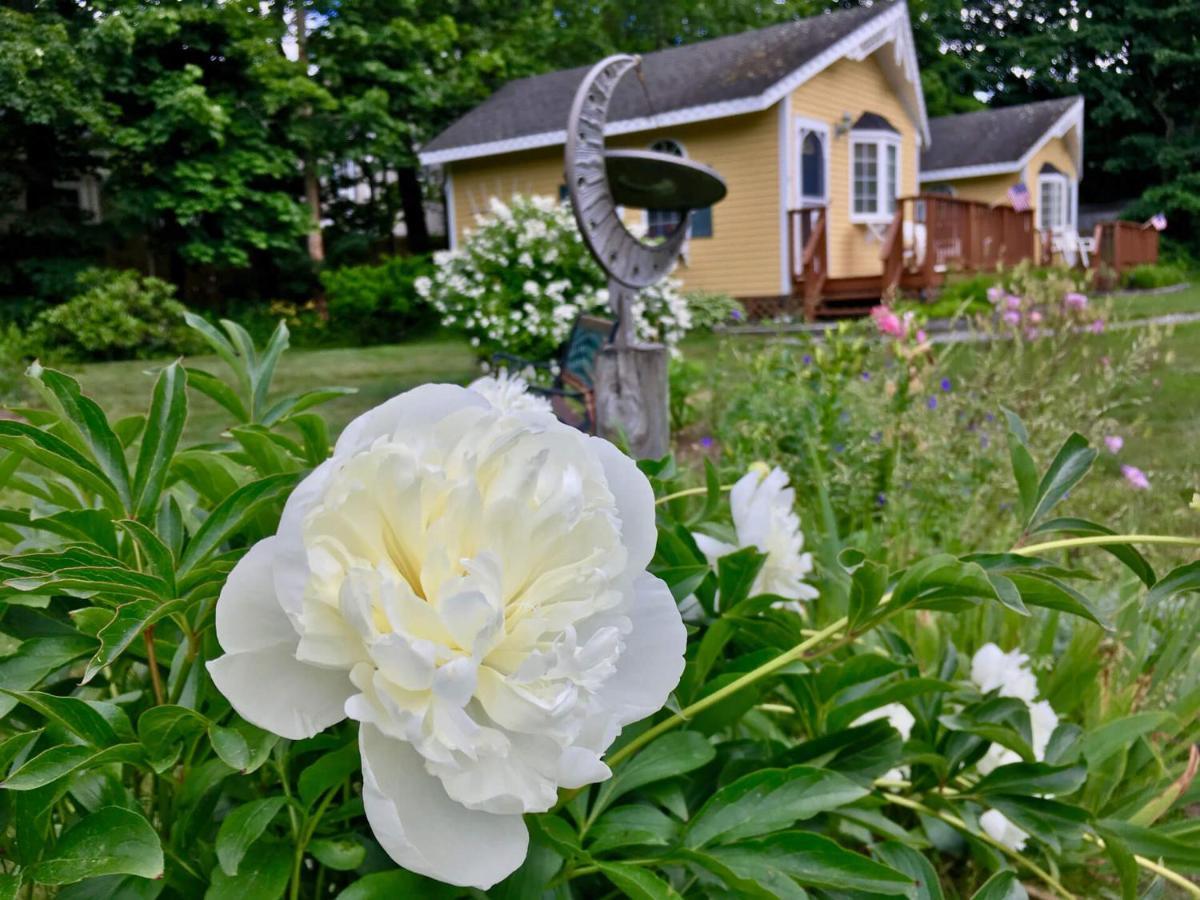 Sand Bar Cottage Inn Бар-Гарбор Екстер'єр фото